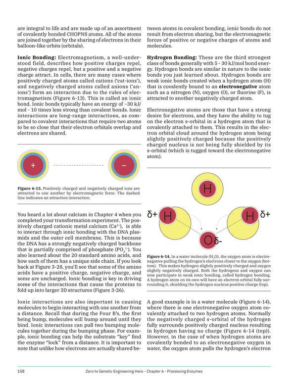 Maker Shed Make: Zero to Genetic Engineering Hero - PDF — Book
