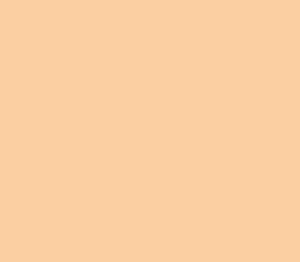 Black Forest® Hobby Supply Co AK Interactive 11403 Figures Series: Highlight Flesh 3G Acrylic Paint 17ml Bottl — Glues,