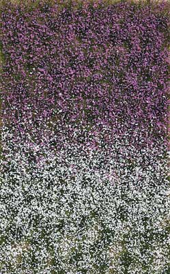 Black Forest® Hobby Supply Co Busch 3548 A Scale Grass Tuft Sheet -- Late Summer Blossom Tufts — All Scale Scenery > Busch