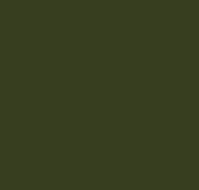 Black Forest® Hobby Supply Co AK Interactive 11342 AFV Series: Dark Green FS34102 3G Acrylic Paint 17ml Bottle — Glues,