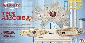 Atlantis Models Amoeba Single Cell Model Kit STEM Plastic Model Kit