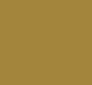 Black Forest® Hobby Supply Co AK Interactive 11422 Figures Series: Ocher Khaki 3G Acrylic Paint 17ml Bottle — Glues, Paints,