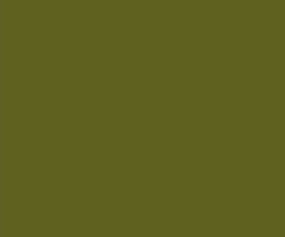 Black Forest® Hobby Supply Co AK Interactive 11335 AFV Series: Nº1 Light Green FS34151 3G Acrylic Paint 17ml B — Glues,