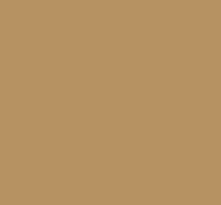 Black Forest® Hobby Supply Co AK Interactive 11349 AFV Series: CARC Tan 686A FS33446 3G Acrylic Paint 17ml Bottle — Glues,