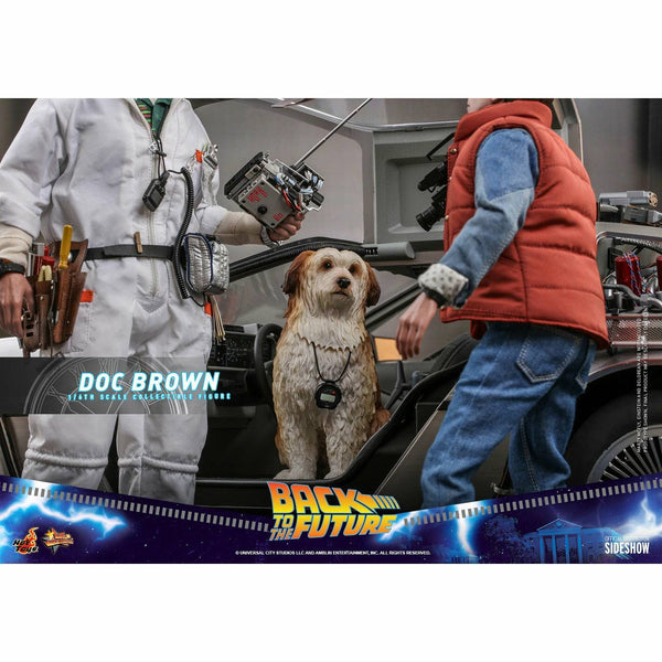 Back to the Future™ Hot Toys Back to the Future Doc Brown (Standard Version) 1:6 Scale Collectible Figure — Action Figure