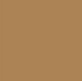 Black Forest® Hobby Supply Co AK Interactive 11331 AFV Series: Brown RAL8020 3G Acrylic Paint 17ml Bottle — Glues, Paints,