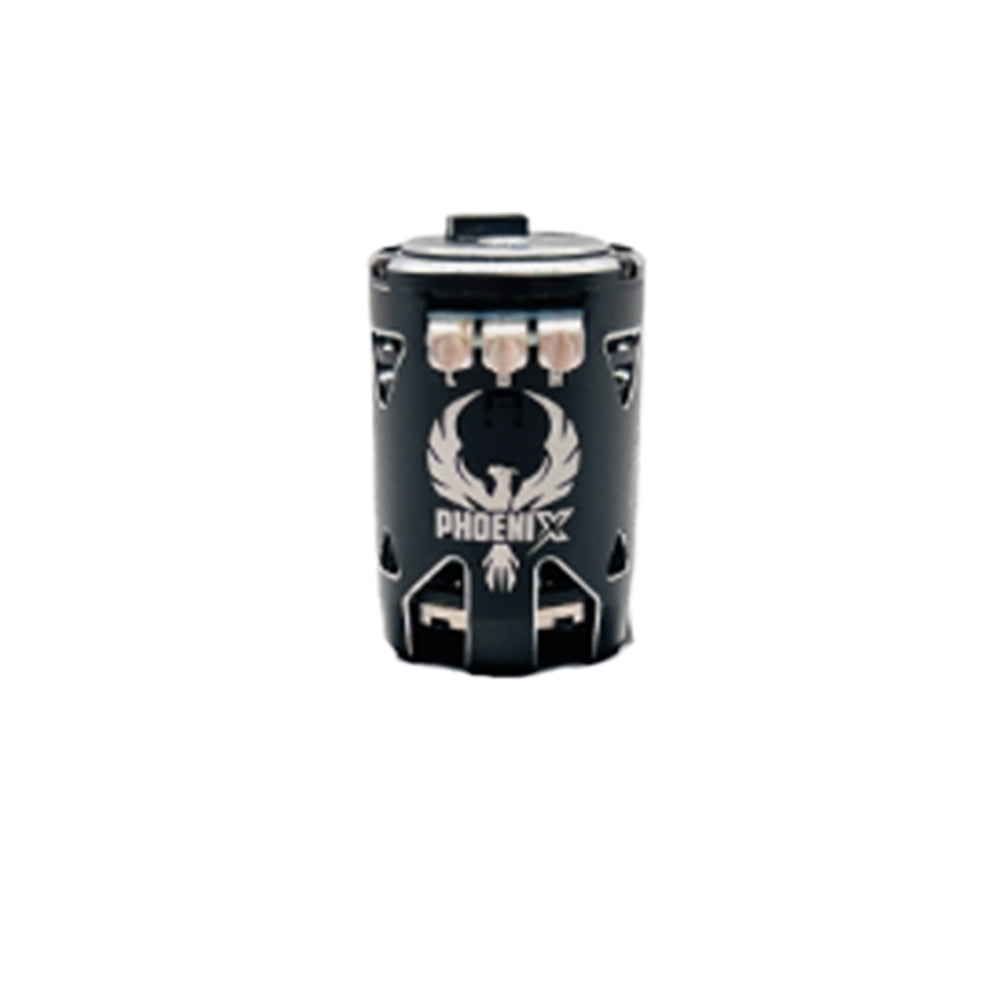 21.5T Phoenix Gold Spec 2S Motor