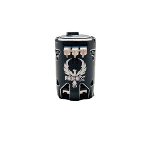 21.5T Phoenix Gold Spec 2S Motor