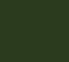 Black Forest® Hobby Supply Co AK Interactive 11412 Figures Series: Medium Green 3G Acrylic Paint 17ml Bottle — Glues,