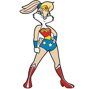 ToyShnip FiGPiN Enamel Pin - Warner Bros. 100 x DC - Select Figure(s) — Toys & Games