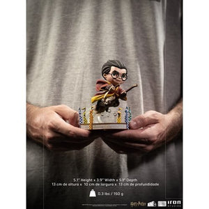 ToyShnip Iron Studios Harry Potter at the Quidditch Match MiniCo. Vinyl Figure — Action & Toy Figures