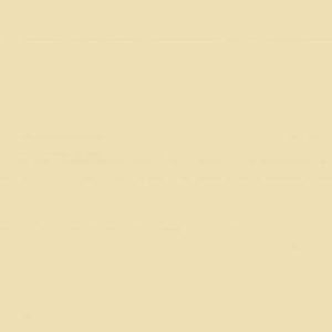 Acrylic Model Paint 1 oz bottle, Radome Tan FS 33613