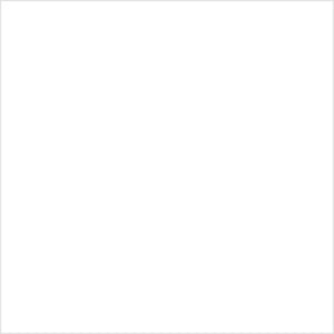 Acrylic Model Paint 1 oz bottle, White Primer
