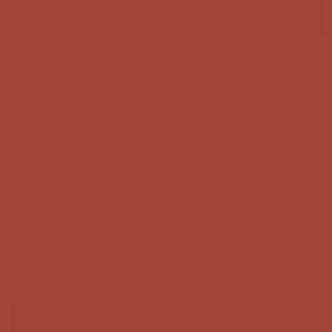Acrylic Model Paint 1 oz bottle, Dark Rust 1