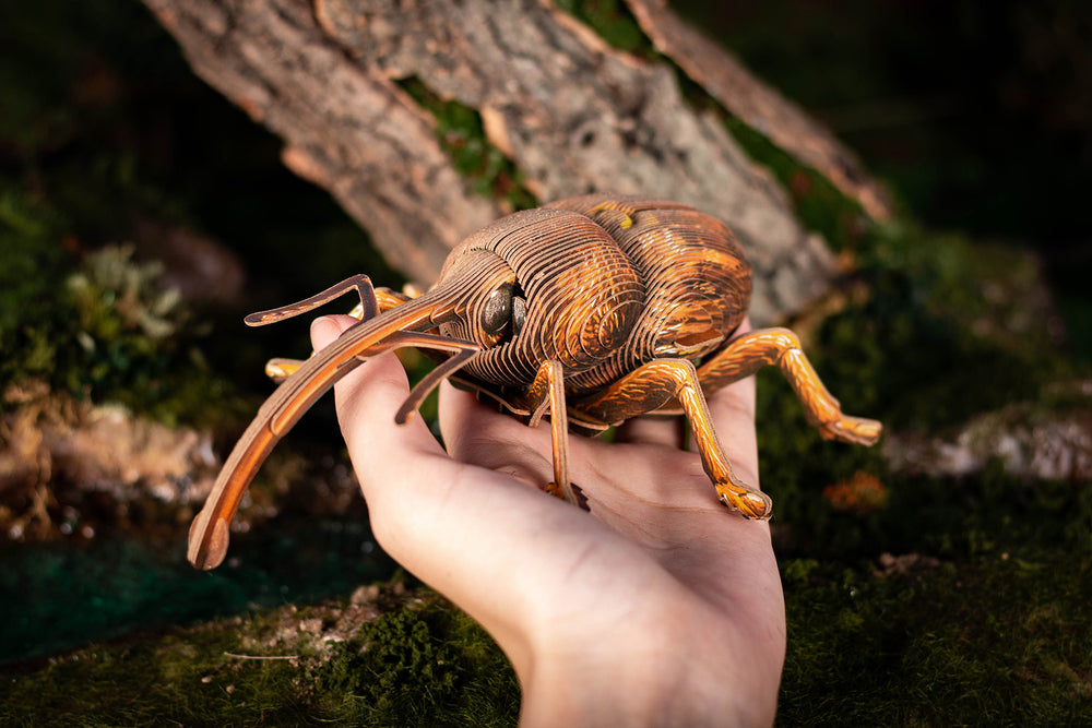 Make Bug Weevil 3D Puzzle, Bring Nature Home