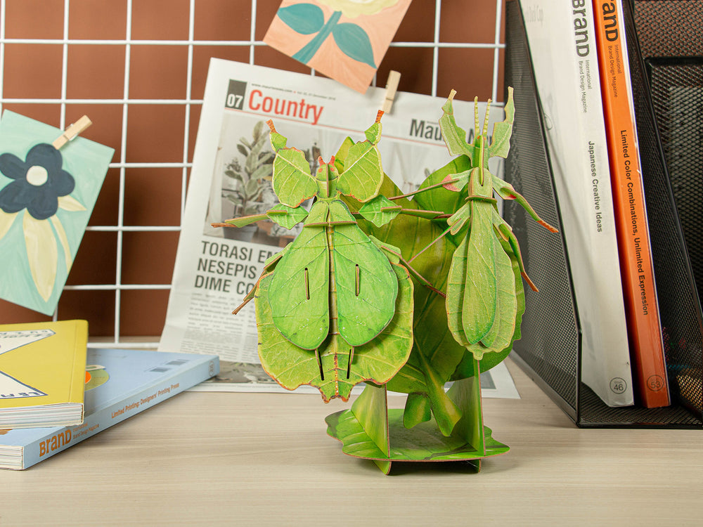 Make Bug Leaf Insect 3D Puzzle, Bring Nature Home