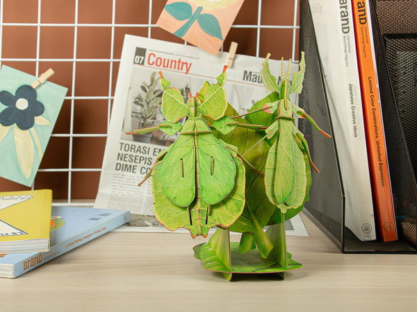 Make Bug Leaf Insect 3D Puzzle, Bring Nature Home