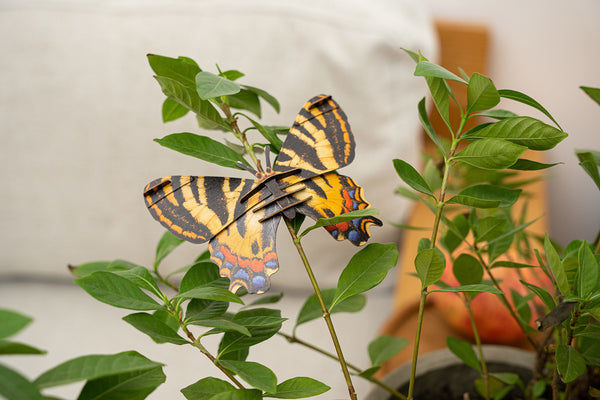 Make Bug Luehdorfia Butterfly 3D Puzzle Bring Nature Home