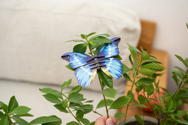Make Bug Helena Morpho Butterfly 3D Puzzle, Bring Nature Home