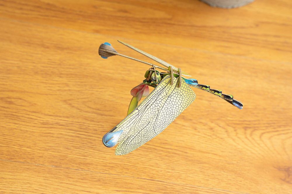 Make Bug Dragonfly 3D Puzzle, Bring Nature Home