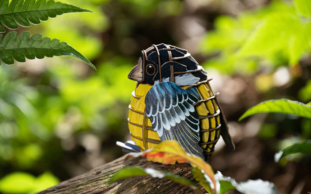 Make Bug Voices of Nature, Yellow-Bellied Titmouse