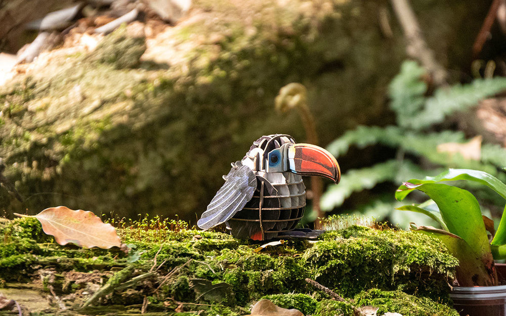Make Bug Voices of Nature, Red-Billed Toucan