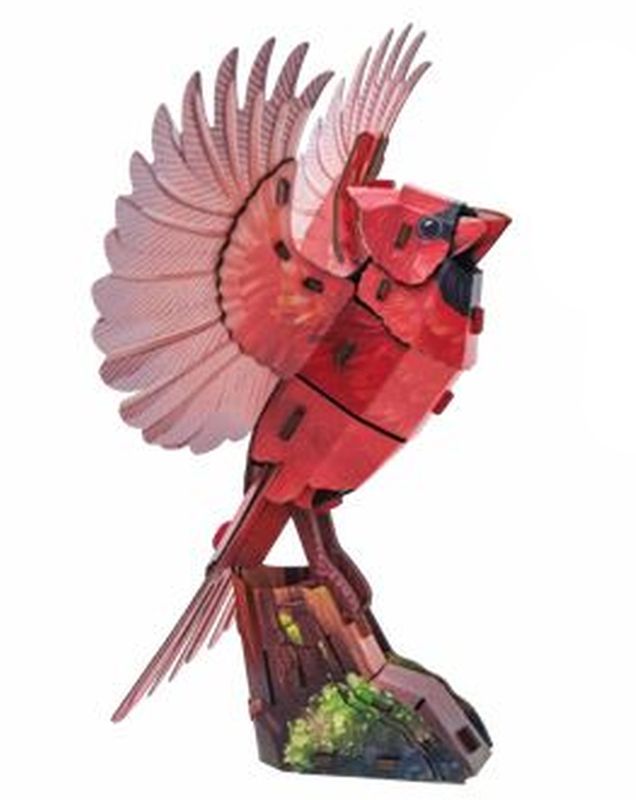 Make Bug Sky Echo American Cardinal