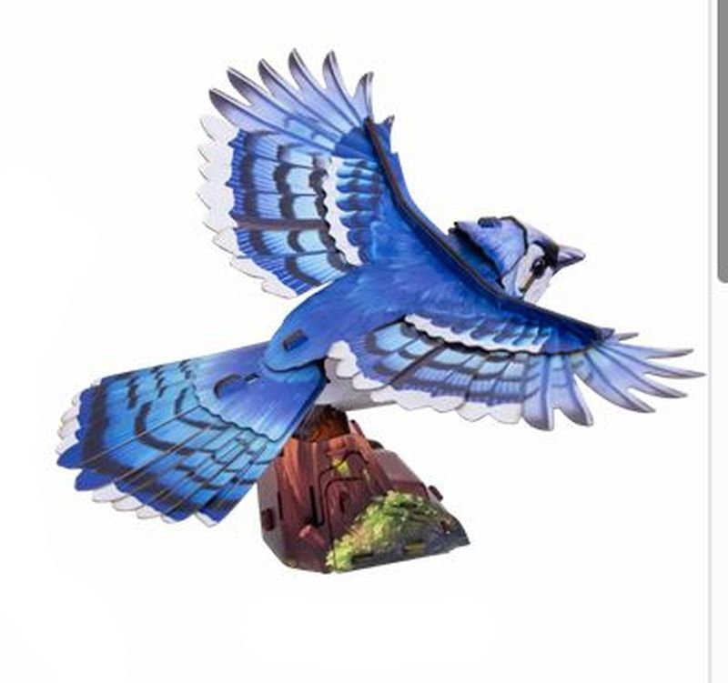 Make Bug Sky Echo Blue Jay