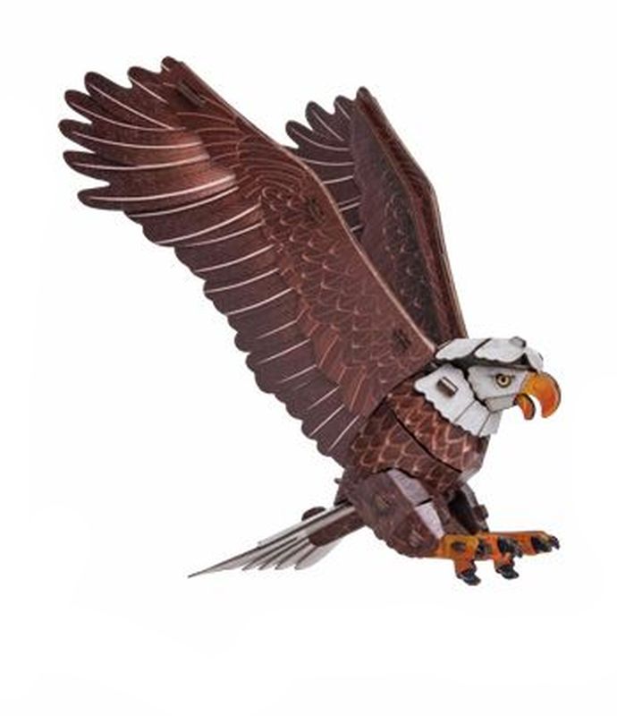 Make Bug Sky Echo Bald Eagle