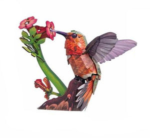 Make Bug Sky Echo Hummingbird