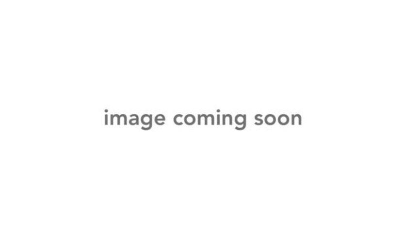 Blade BLH4211 USB 1s Charger 70 S /70S