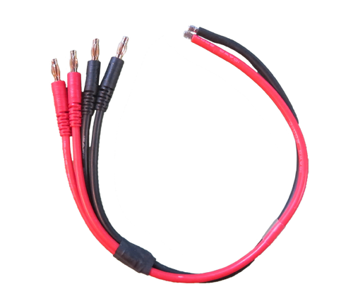Parallel (2x) Output Cable