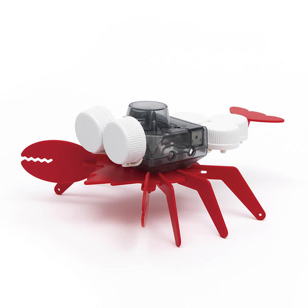PlaySTEM Ocean Friends Lobster & Octopus