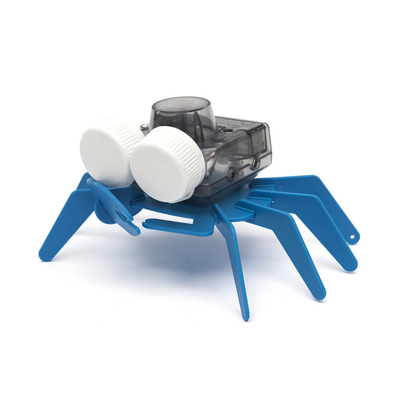 PlaySTEM Ocean Friends Sea Turtle & Crab
