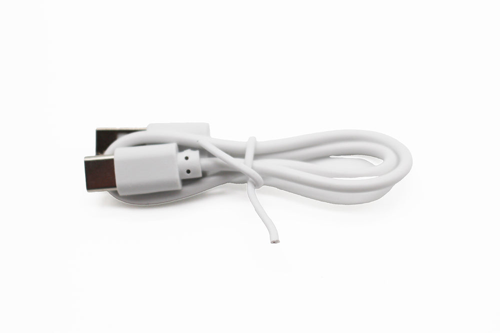 Rage R/C USB Charge Cord (Type C Plug); Stinger BL