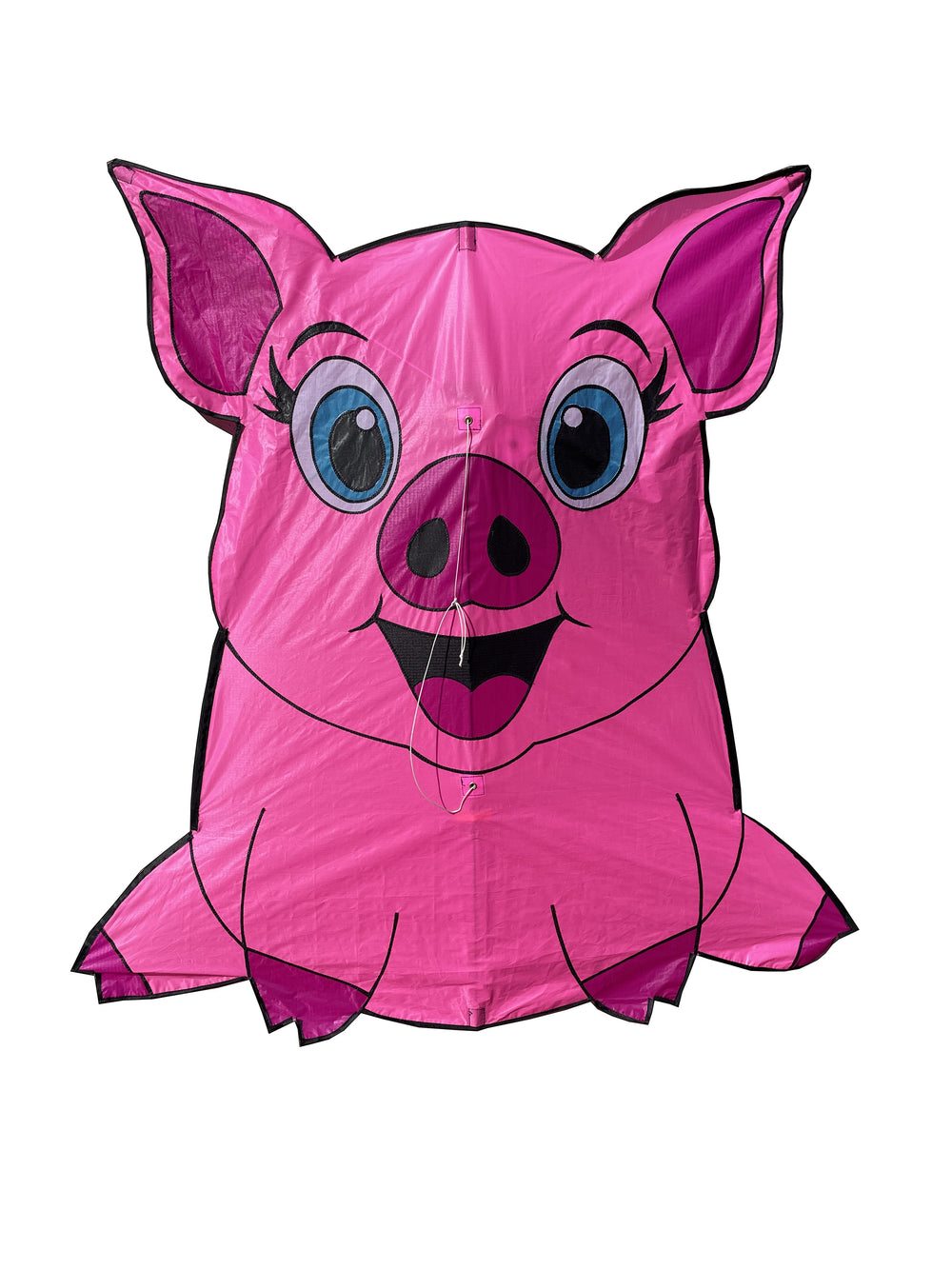 Skydog Kites Pig Kite