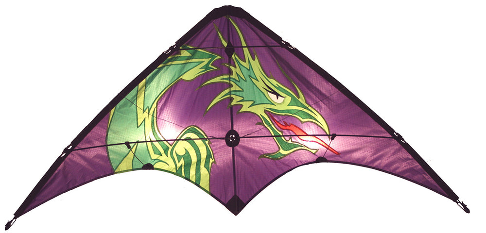 Skydog Kites Learn To Fly Dragon
