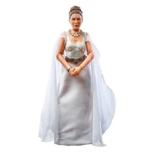 ToyShnip Star Wars The Black Series The Power of the Force Princess Leia Organa (Yavin IV) 6-Inch Action Figure - Exclusive