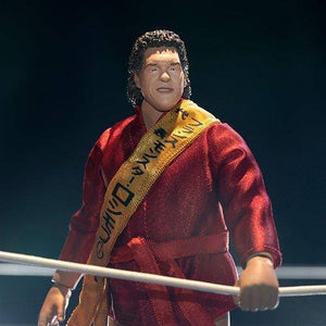 ToyShnip Super7 Andre the Giant IWA World Series 1971 Wrestling Ultimates 8" Action Figure — Action & Toy Figures