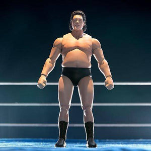 ToyShnip Super7 Andre the Giant IWA World Series 1971 Wrestling Ultimates 8" Action Figure — Action & Toy Figures