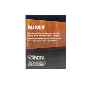 ToyShnip Teenage Mutant Ninja Turtles BST AXN Turtles IDW Comic Black and White 5-Inch Action Figure 4-Pack - SDCC 2023