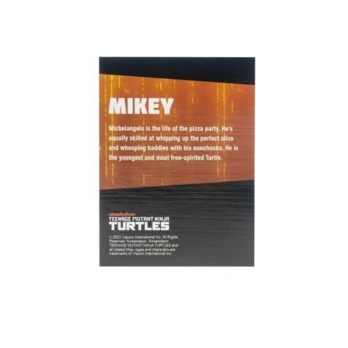ToyShnip Teenage Mutant Ninja Turtles BST AXN Turtles IDW Comic Black and White 5-Inch Action Figure 4-Pack - SDCC 2023