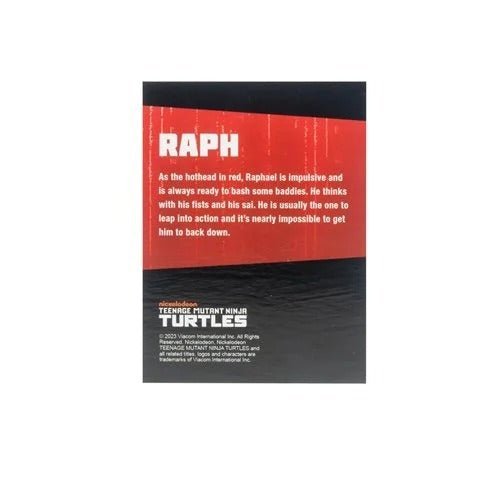 ToyShnip Teenage Mutant Ninja Turtles BST AXN Turtles IDW Comic Black and White 5-Inch Action Figure 4-Pack - SDCC 2023