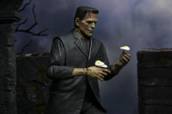 NECA Universal Monsters: Ultimate Frankenstein's Monster (COLOR) - Echo Six Hobbies